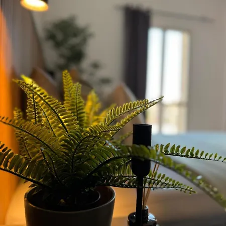 Holiday home Oasis Paradise *