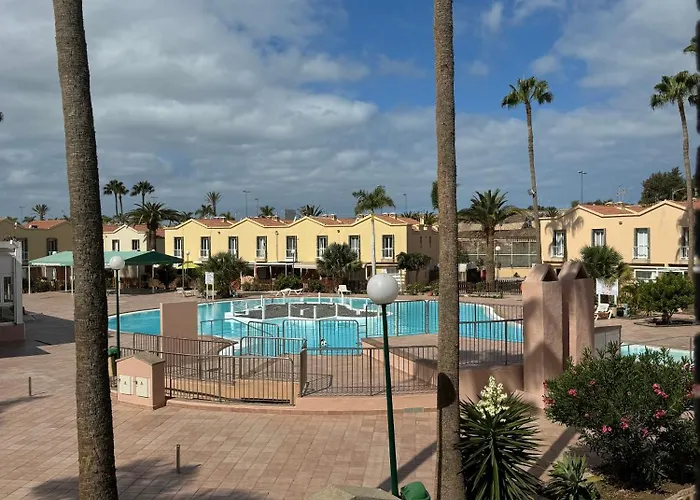 Oasis Paradise